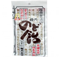 【梅丹本舖】青梅精糖果(喉糖80g)2包