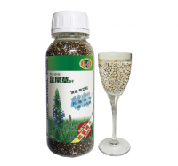 【亞積生技】瑪雅野生原種-鼠尾草籽(430g/罐) 